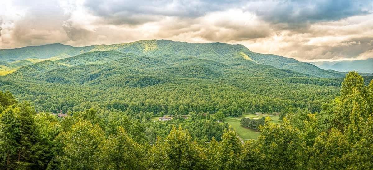 Вилла Modern Mountain Escape Гатлинбург Экстерьер фото